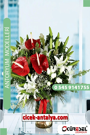 Antoryum Çiçekçi Modeli Ant02 Antoryum