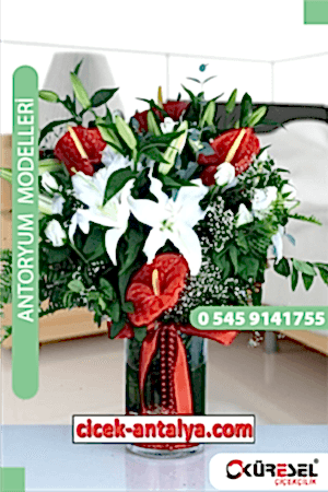 Antoryum Çiçekçi Modeli Ant03 Antoryum