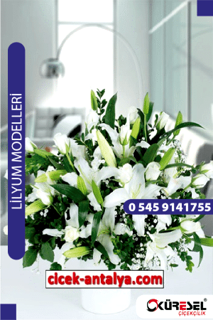 Antalya Lilyum Çiçek Sipariş L02 Lilyum