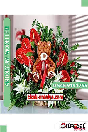 Antoryum Çiçekçi Modeli Ant04 Antoryum
