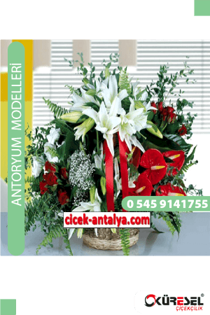 Antoryum Çiçek Modeli Antalya Ant01 Antoryum