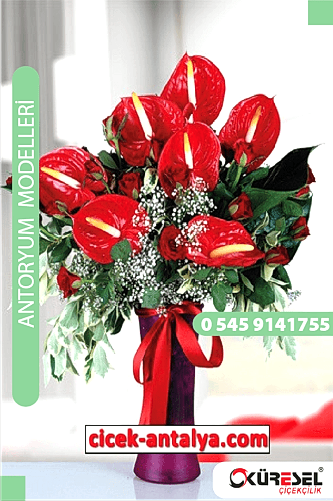 Antoryum Çiçek Modeli Antalya Ant01 Antoryum