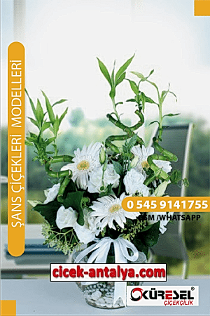 GERBERA VE ŞANS GETİREN BAMBULAR ÜRÜN KODU SC03 Şans Çiçekleri
