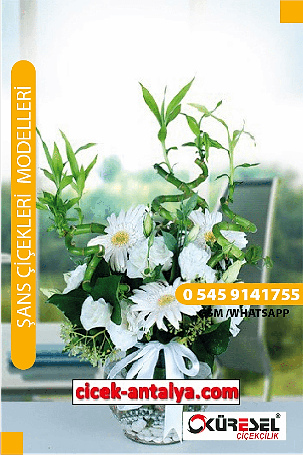 GERBERA VE ŞANS GETİREN BAMBULAR ÜRÜN KODU SC03 Şans Çiçekleri