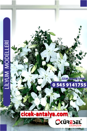Lilyum Çiçek Sipariş Model L03 Lilyum antalya lilyum çiçek gönder