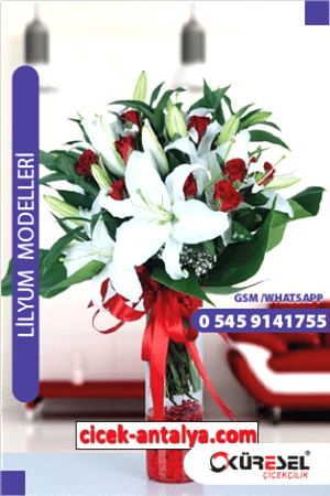Lilyum Çiçek Sipariş Model L04 Lilyum antalya lilyum fiyatı