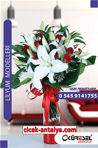 Lilyum Sipariş Modeli L05 Lilyum