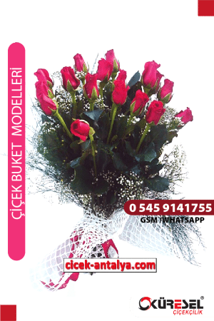ÖZELSİN 17 KIRMIZI GÜL ÜRÜN KODU BK04 Çiçek Buketi