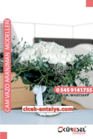 100 BEYAZ GÜL ÜRÜN KODU CV44 Cam Vazolu Çiçek Aranjman
