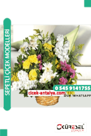 BAHARIN MÜJDECİSİ RENGARENK ÇİÇEK SEPETİ ÜRÜN KODU SPA17 Çiçek Sepet Aranjman