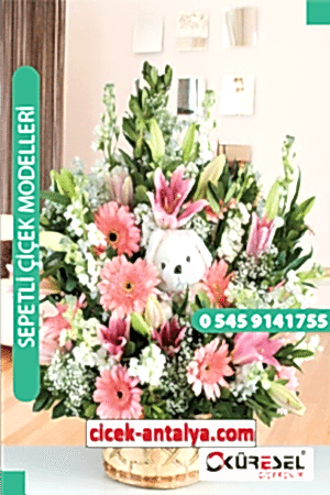 HOŞGELDİN BEBEK ARAJMANI ÜRÜN KODU SPA07 Çiçek Sepet Aranjman