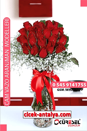 VAZODA 20 KIRMIZI GÜL ÜRÜN KODU CV08 Cam Vazolu Çiçek Aranjman vazoda 20 kirmizi gül